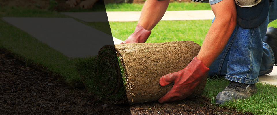 Shady Side Landscapers